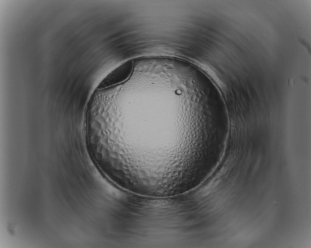 X0000091371387200708241323