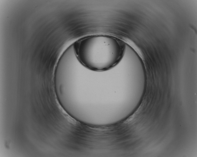 X0000091371388200708241323