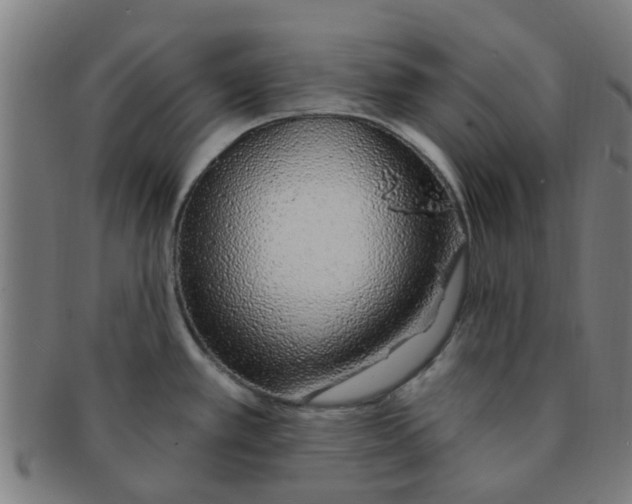 X0000091371389200708241323