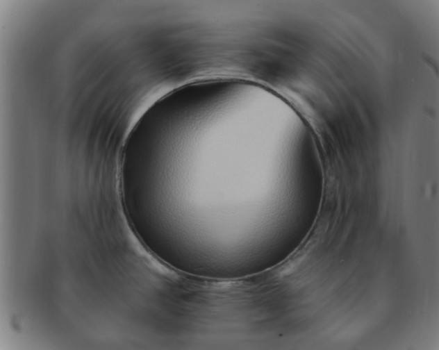 X0000091371390200708241323