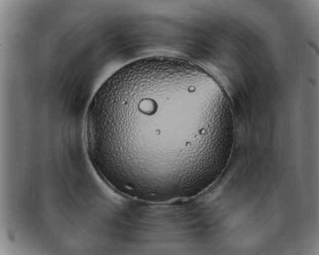 X0000091371391200708241323