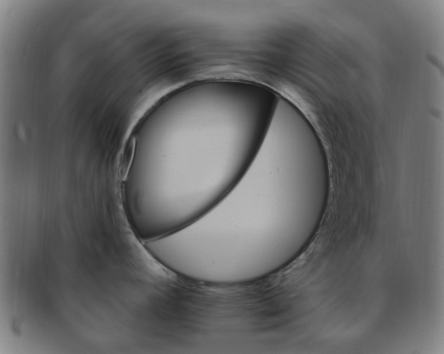 X0000091371392200708241323