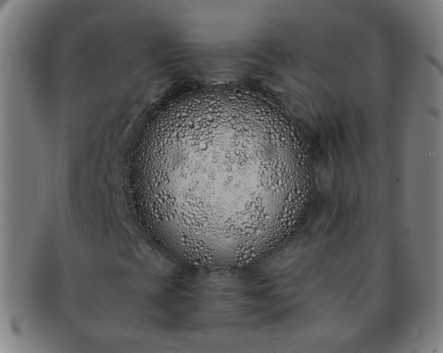 X0000091371393200708241322