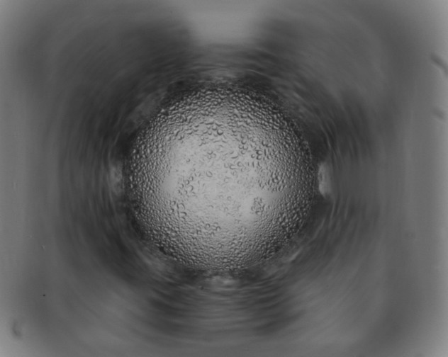 X0000091371395200708241322