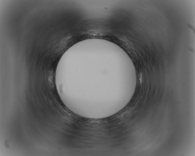 X0000091371396200708241322