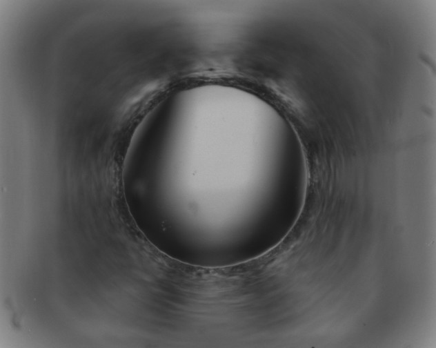 X0000091371398200708241322