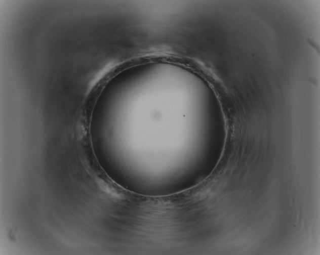 X0000091371400200708241322