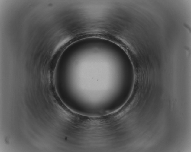 X0000091371402200708241322