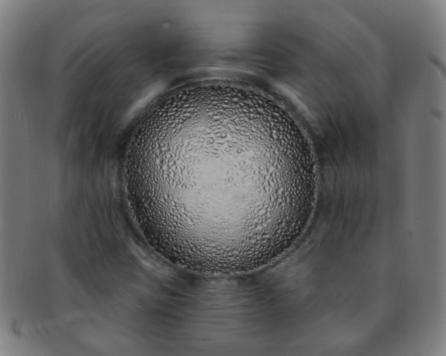 X0000091371403200708241322