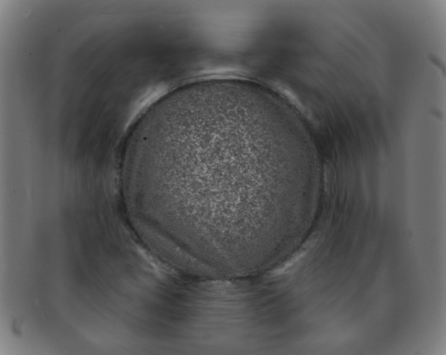 X0000091371405200708241322