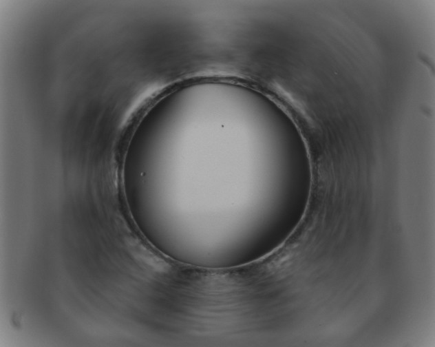 X0000091371408200708241322