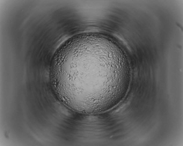 X0000091371409200708241323