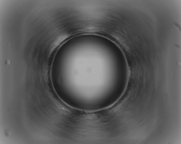 X0000091371410200708241323