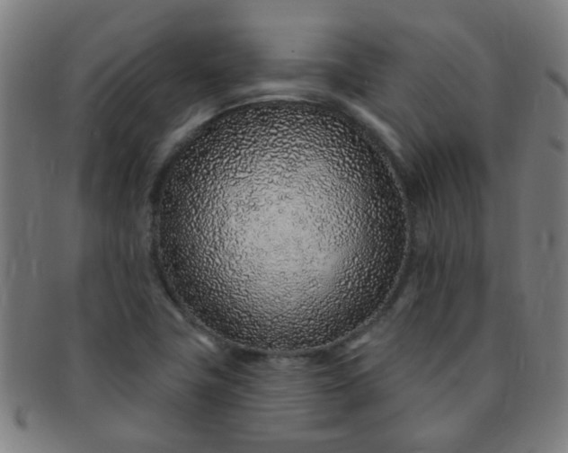 X0000091371411200708241323