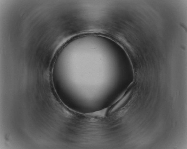 X0000091371412200708241323