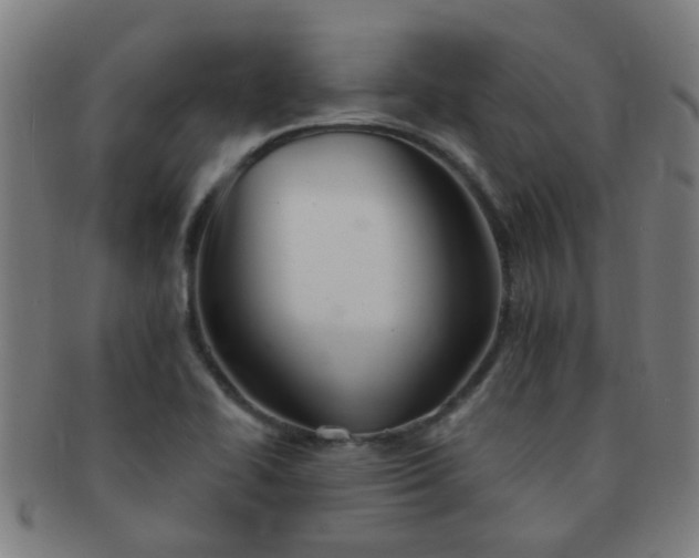 X0000091371414200708241323