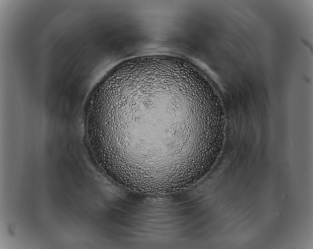 X0000091371415200708241323