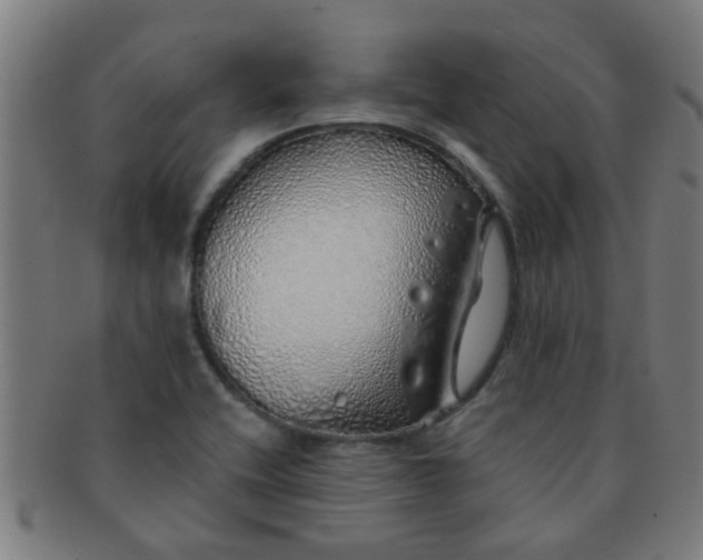 X0000091371416200708241323