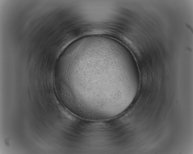 X0000091371417200708241323