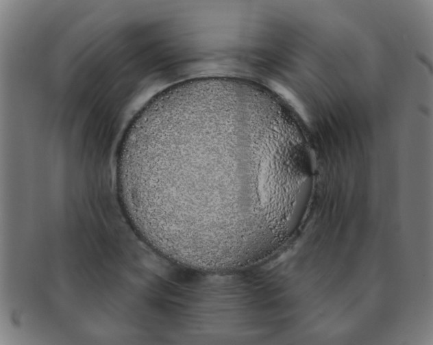 X0000091371419200708241323