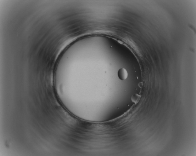 X0000091371420200708241323