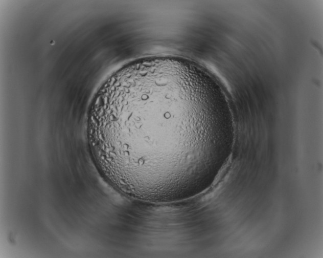 X0000091371421200708241323