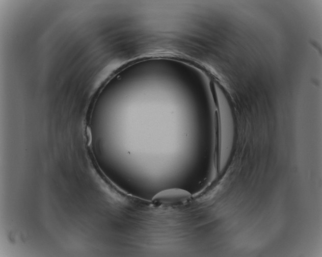 X0000091371422200708241323