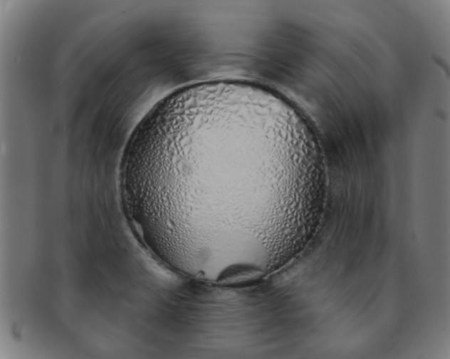 X0000091371423200708241323