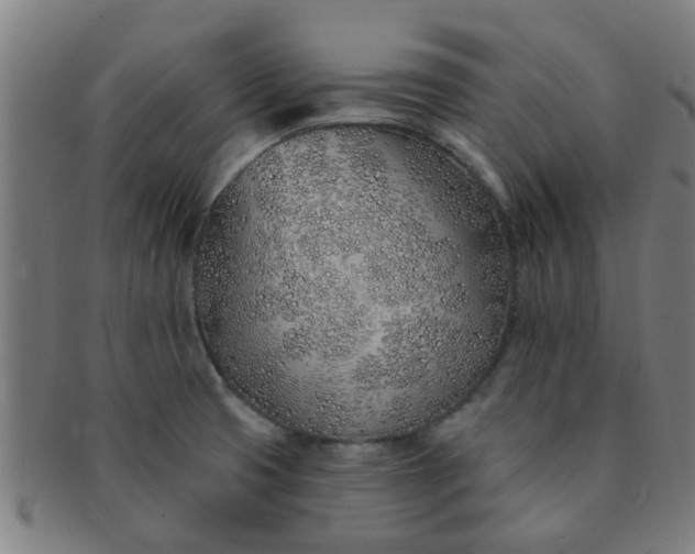 X0000091371425200708241323