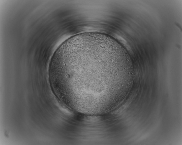 X0000091371427200708241323