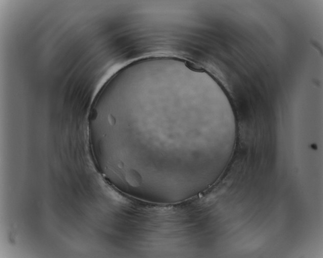 X0000091371428200708241323