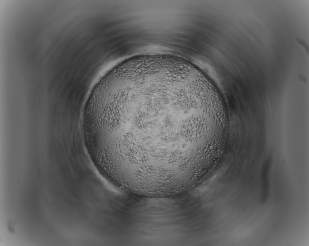 X0000091371429200708241323