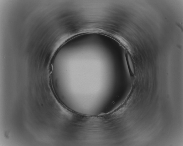 X0000091371430200708241323