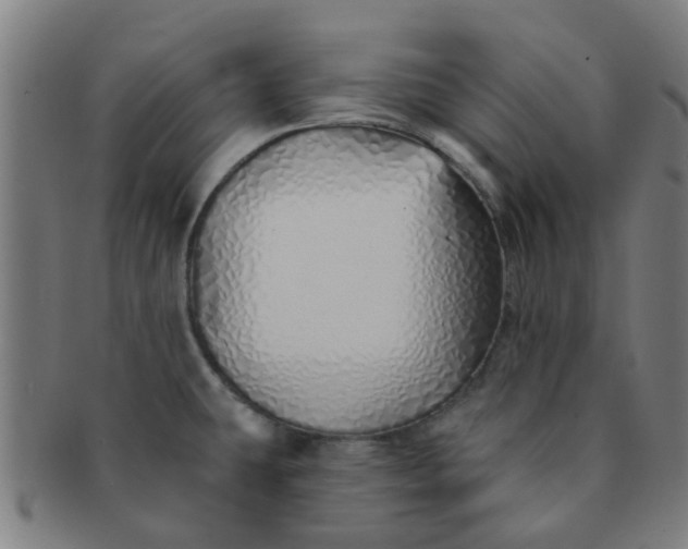 X0000091371431200708241323