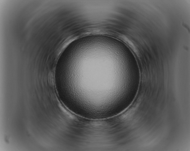 X0000091371433200708241323