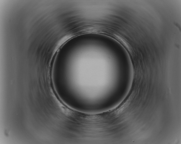 X0000091371434200708241323