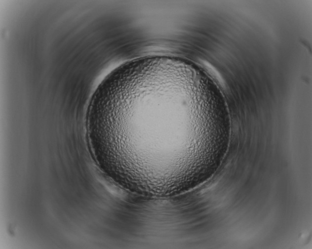 X0000091371435200708241323