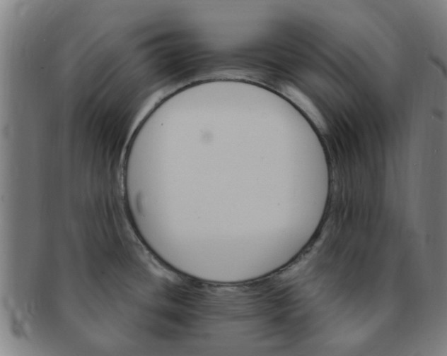 X0000091371436200708241323