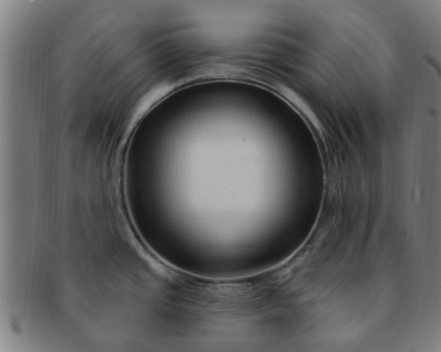 X0000091371437200708241323