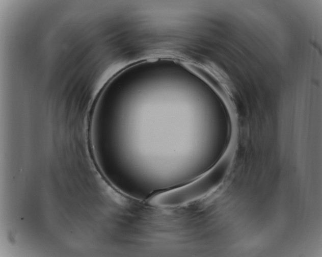 X0000091371438200708241323