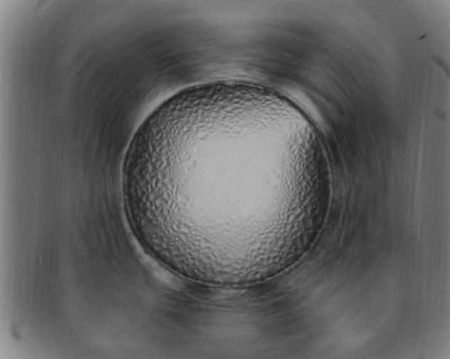 X0000091371439200708241323