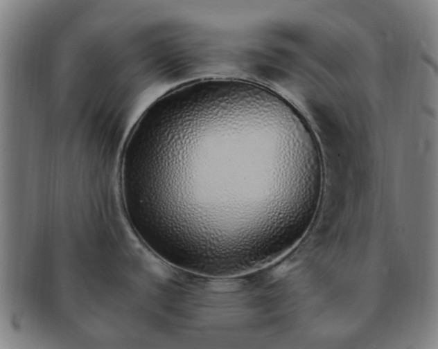 X0000091371440200708241323