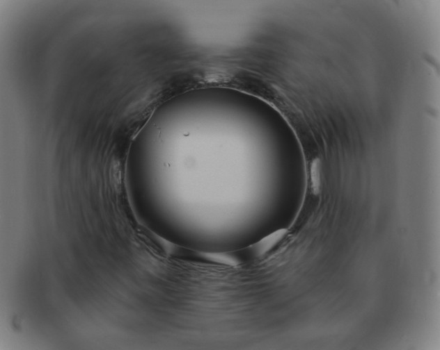 X0000091371443200708241322