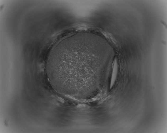 X0000091371445200708241322