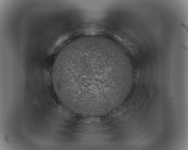 X0000091371446200708241322