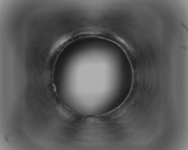 X0000091371448200708241322