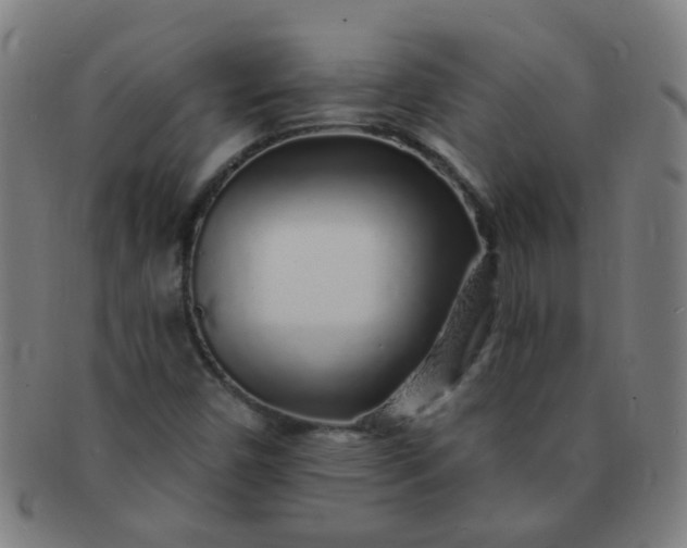 X0000091371450200708241322