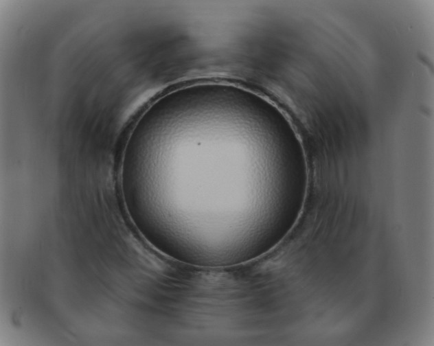 X0000091371452200708241322