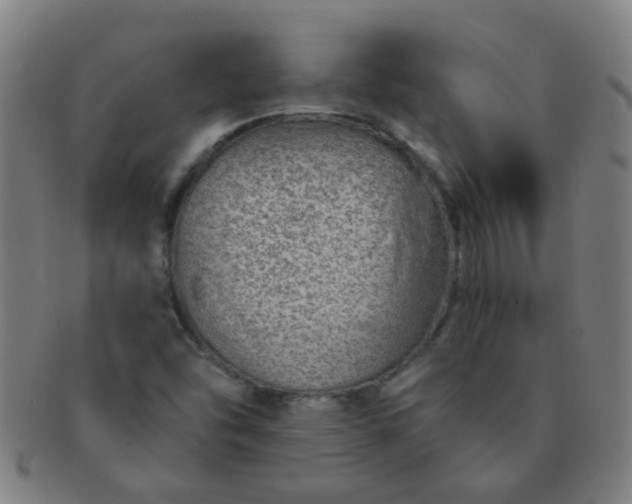 X0000091371454200708241322