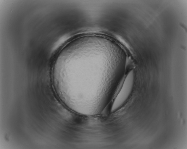 X0000091371456200708241322